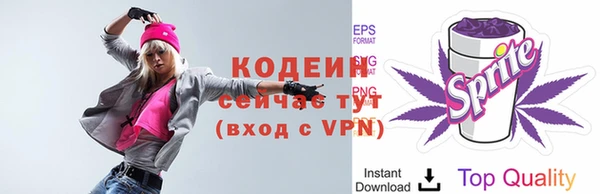 ECSTASY Костерёво