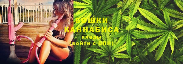 ECSTASY Костерёво