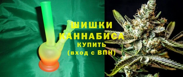 ECSTASY Костерёво
