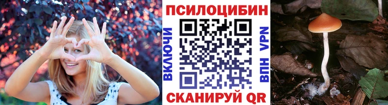 Псилоцибиновые грибы Cubensis  Купить закладки  Коломна 