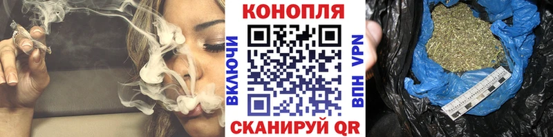 Бошки Шишки план  Купить  Коломна 